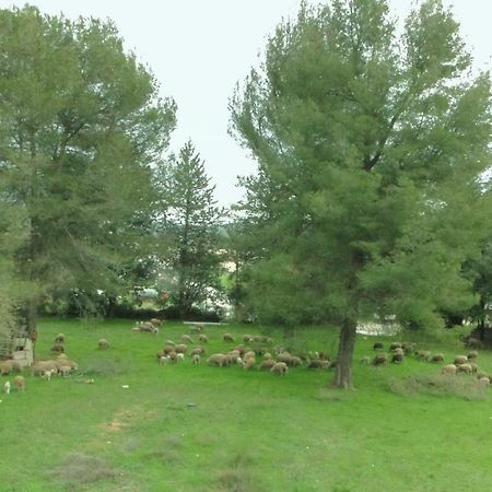 Gite Saint Clair - Escapade A Signes Εξωτερικό φωτογραφία
