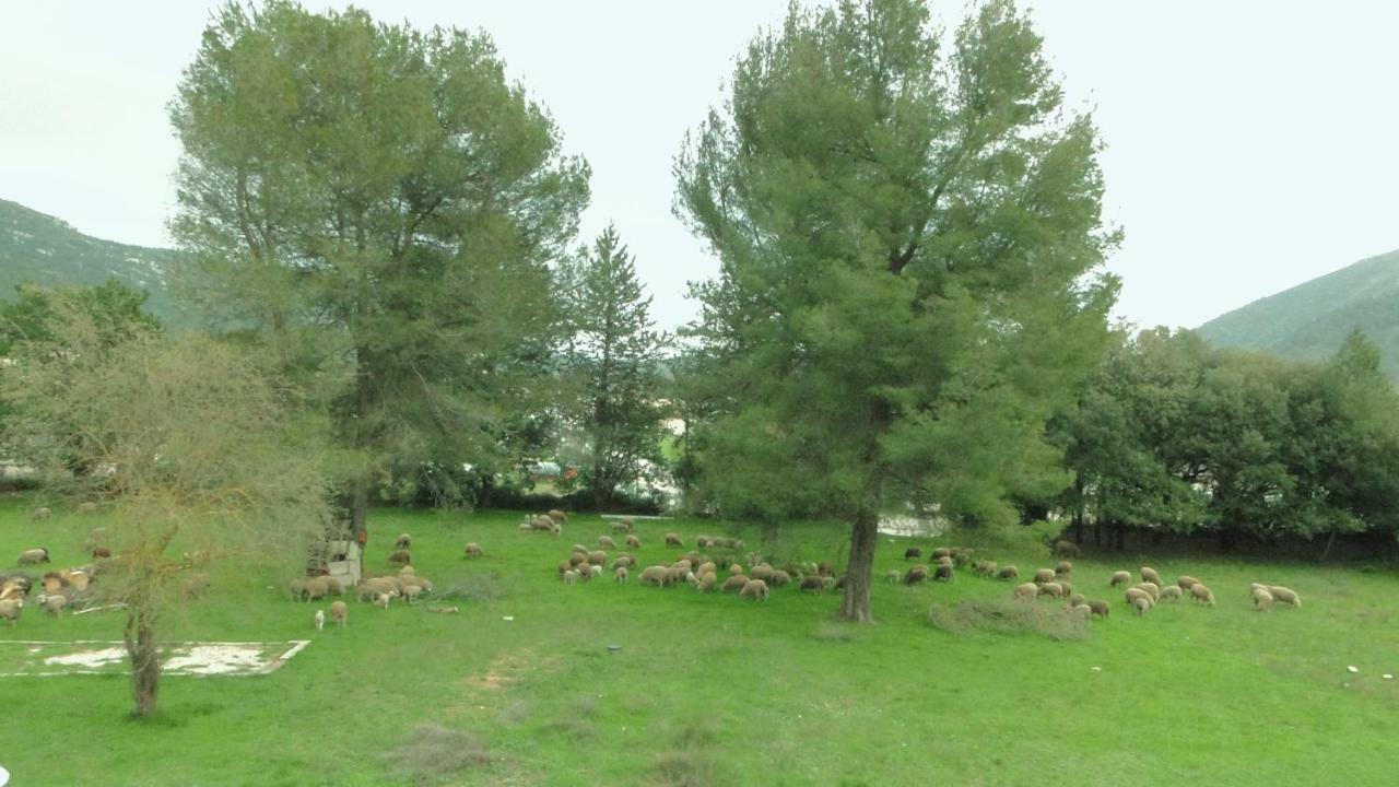 Gite Saint Clair - Escapade A Signes Εξωτερικό φωτογραφία
